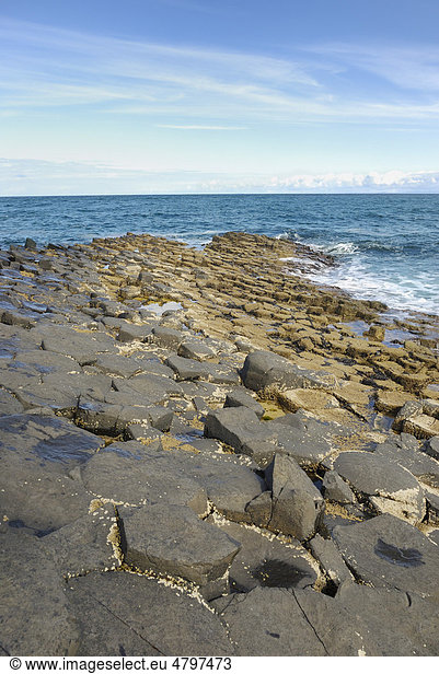 Naturphänomen Giant's Causeway mit hexagonalen Basaltquadern an der Küste bei Bushmill  County Antrim  Nordirland  Großbritannien  Europa