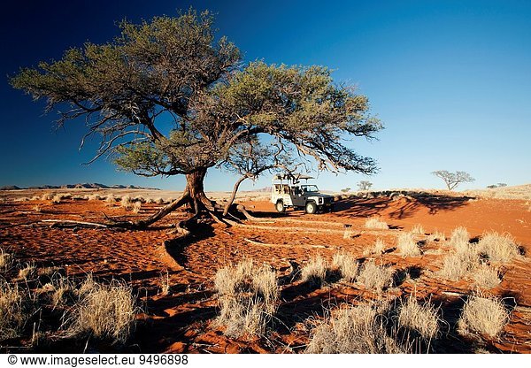 Naturschutzgebiet Baum Landschaft Namibia Geographie Land Rover