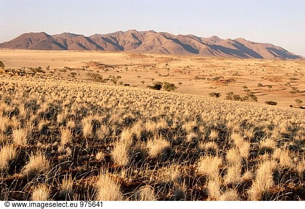 Naturschutzgebiet  Schönheit  Ecke  Ecken  Tischset  Verletzung der Privatsphäre  Landschaft  Wüste  Lodge  Landhaus  Namibia  Zimmer  Gras  Düne  Namib