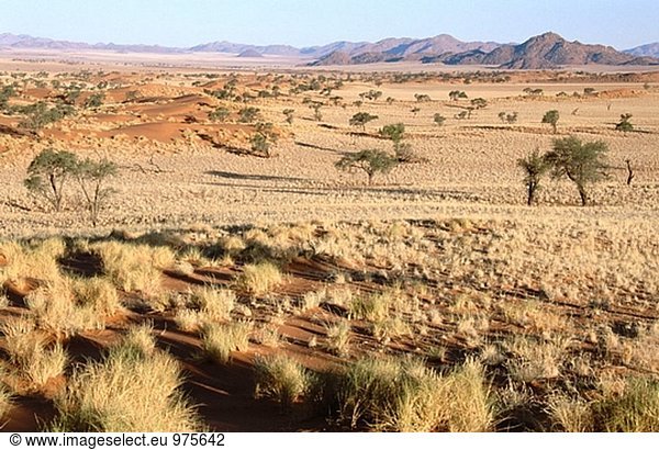 Naturschutzgebiet Schönheit Ecke Ecken Tischset Verletzung der Privatsphäre Landschaft Wüste Lodge Landhaus Namibia Zimmer Gras Düne Namib