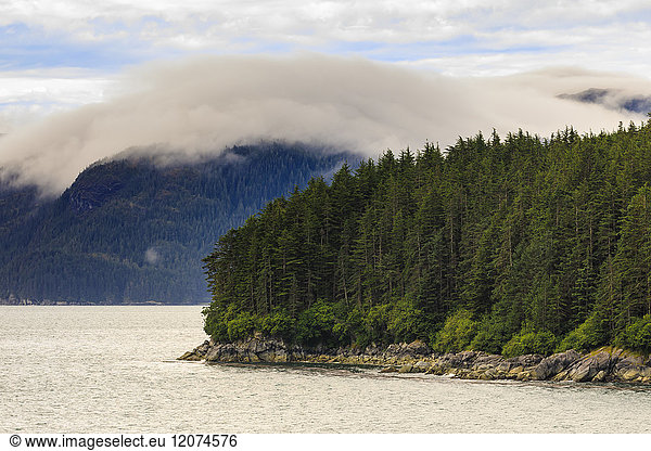 Nebel  felsige Küste und Wald  Inian Islands  Icy Strait  zwischen Chichagof Island und Glacier Bay National Park  Alaska  Vereinigte Staaten von Amerika  Nordamerika