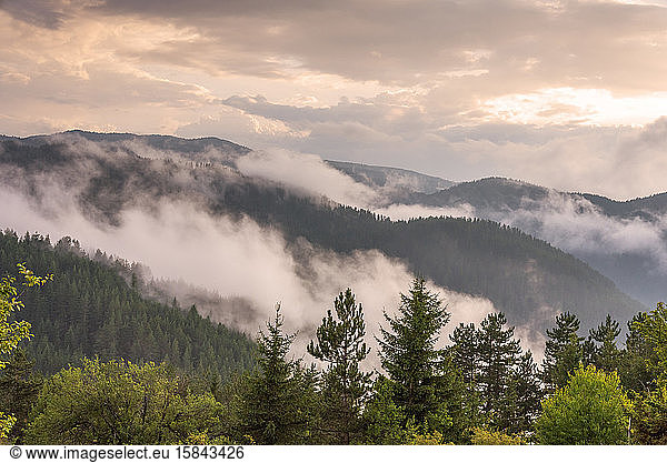 Nebel im Wald bei Bulgarien.