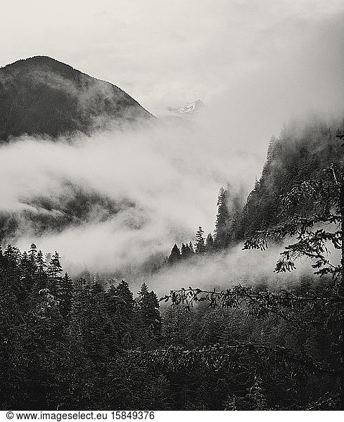 Nebel und Nebel wirbelt durch die Täler der Kaskadenberge