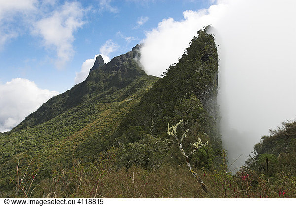 Nebelwand im Vulkankessel Cirque de Mafate  Insel La Reunion  Frankreich  Afrika