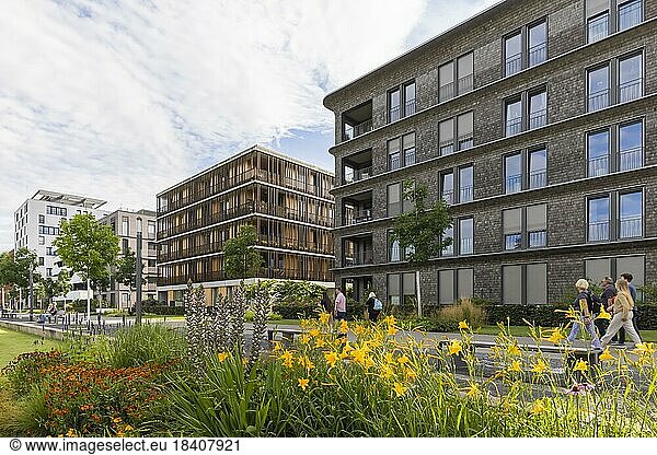 Neckarbogen  innovatives Wohnquartier mit nachhaltigen architektonischen Lösungen und Zonen ohne Autoverkehr  Heilbronn  Baden-Württemberg  Deutschland  Europa