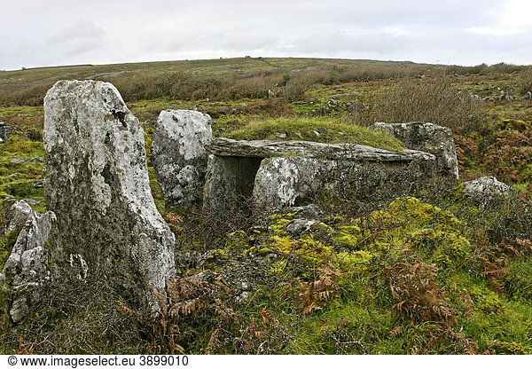 Neolithisches Keilgrab  Parknabinnia  The Burren  County Clare  Republik Irland  Europa