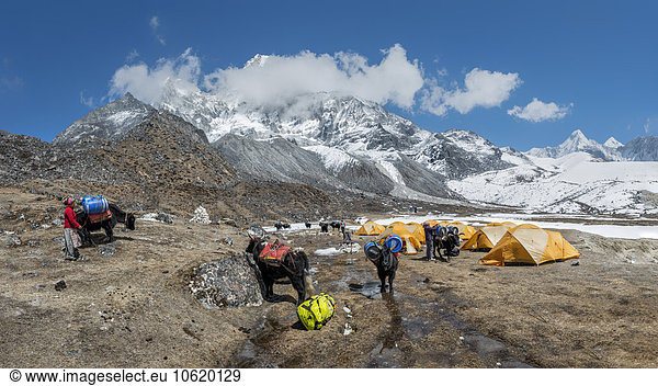 Nepal  Himalaya  Khumbu  Ama Dablam base camp
