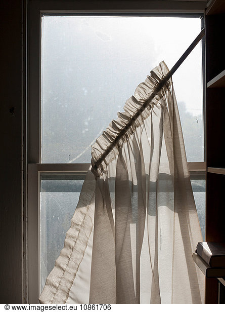 Net curtains falling from dirty sash window