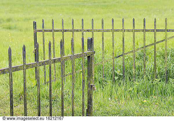Netherlands  Fence in grass