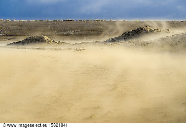Netherlands  Goeree-Overflakkee  sandstorm in dunes