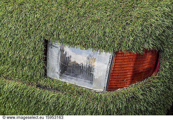 Netherlands  Headlight of green overgrown car