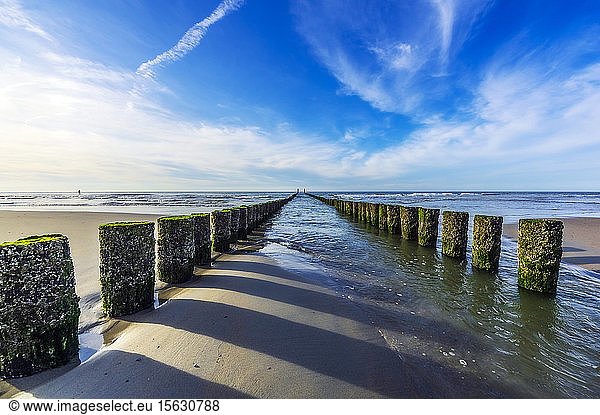 Netherlands  Zeeland  Domburg  breakwaters on beach