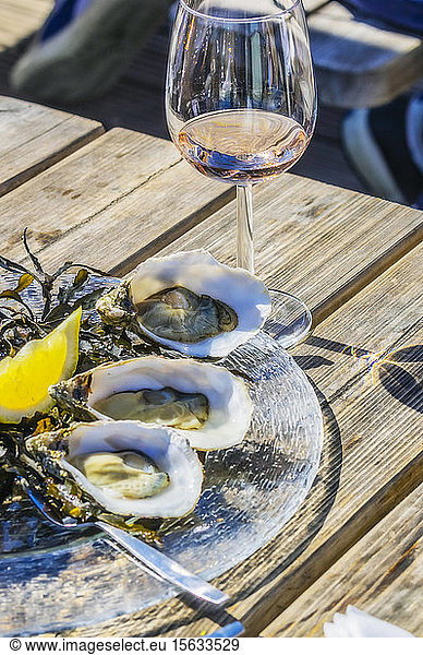 Netherlands  Zeeland  Yerseke  Fine de Claire oysters
