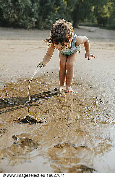 Nettes kleines Mädchen entdeckt für Krabbe am Strand