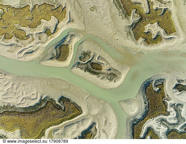 Netzwerk von Kanälen und Bächen bei Ebbe  im Sumpfgebiet der Bahía de Cádiz  Luftbild  Drohnenaufnahme  Provinz Cádiz  Andalusien  Spanien  Europa