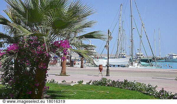 Neue Marina  Neuer Yachthafen  Jachthafen  Marina Boulevard  Hurghada  Ägypten  Afrika