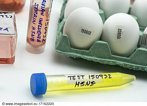 Neuer H5N8-Vogelgrippestamm beim Menschen  Fläschchen mit Proben  konzeptionelles Bild.