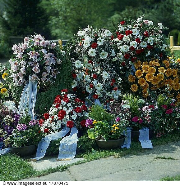 Neues Grab  Beerdigung  Kränze liegen auf dem frischen Grab  Friedhof  Trauer  New grave  burial  wreaths lie on the fresh grave  cemetery  grief