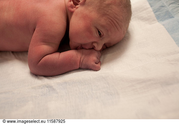 Neugeborenes Baby Junge liegt auf der Vorderseite