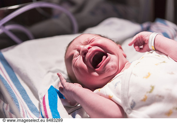Neugeborenes neugeboren Neugeborene weinen Europäer Krankenhaus Baby Gitterbett