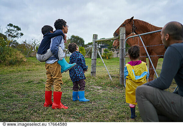Neugierige Kinder beobachten Pferde am Zaun