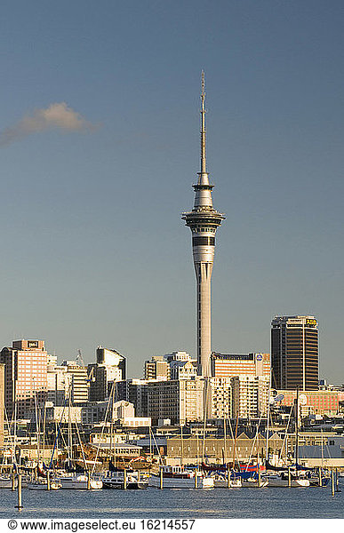 Neuseeland  Auckland  Sky Tower