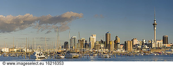 Neuseeland  Auckland  Skyline vom Meer aus gesehen
