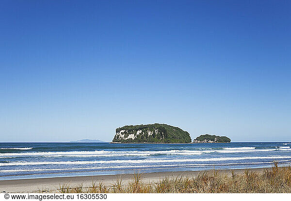 Neuseeland  Coromandel  Whangamata Beach