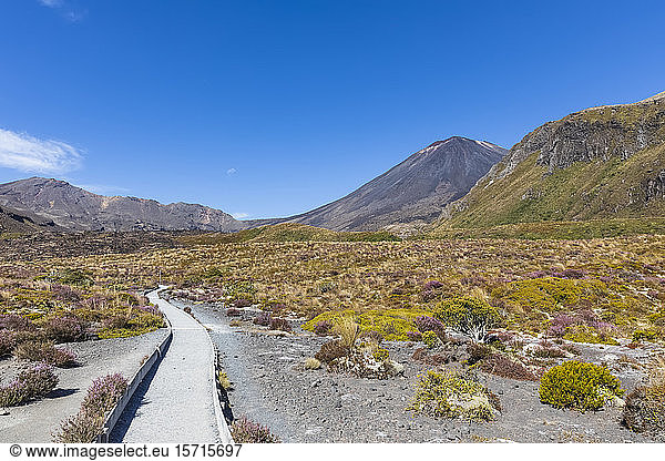 Neuseeland  Distrikt Ruapehu  Leerer Fussweg zum Vulkan Mount Ngauruhoe