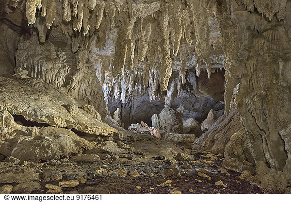 Neuseeland  Golden Bay  beleuchtete Flowstones in Stafford's Cave