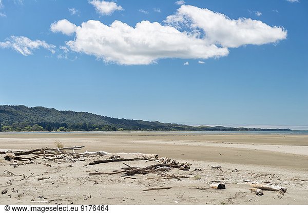 Neuseeland  Golden Bay  Strand mit Treibholz bei Pakawau