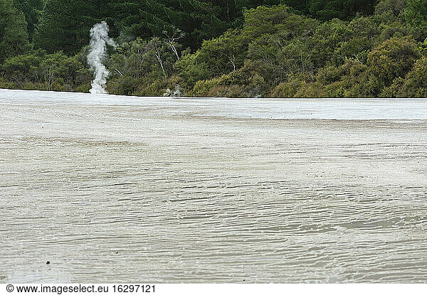 Neuseeland  Nordinsel  Bay of Plenty  Rotorua  Wai-O-Tapu  Sinterterrasse mit Fumarole