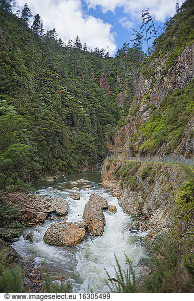 Neuseeland  Nordinsel  Waikato  Karangahake-Schlucht  Waitawheta-Fluss