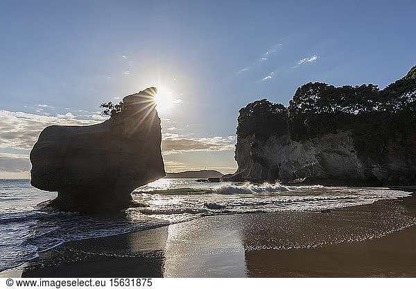 Neuseeland  Nordinsel  Waikato  Silhouette des lächelnden Sphinxfelsen bei Sonnenuntergang