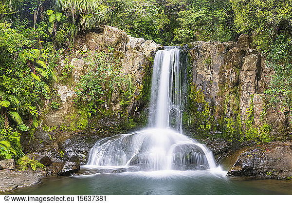 Neuseeland  Nordinsel  Waikato  Waiau  Panoramablick auf den Wasserfall