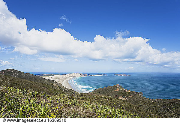 Neuseeland  Northland  Cape Reinga Gebiet  Cape Maria van Diemen mit Sanddünen und Strand