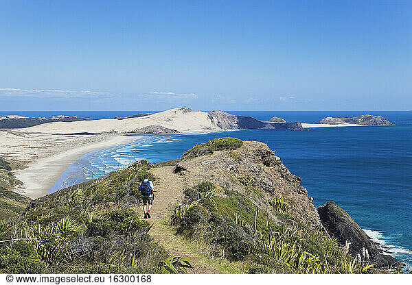 Neuseeland  Northland  Cape Reinga Gebiet  Mann wandert Cape Maria van Diemen Trail