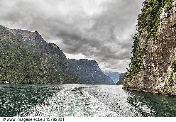 Neuseeland  Ozeanien  Südinsel  Southland  Fiordland National Park  Milford Sound  Wake on water