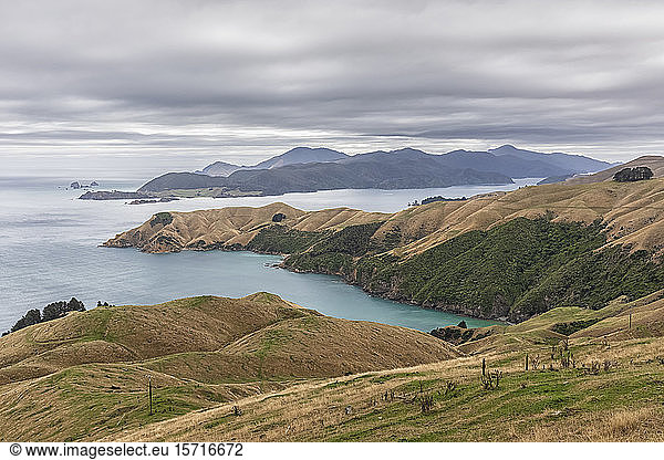Neuseeland  Region Marlborough  Okuri Bay mit der Insel DUrville im Hintergrund