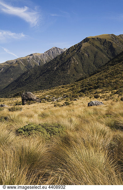 Neuseeland  Südinsel  Canterbury  Blick auf Arthur's Pass Nationalpark