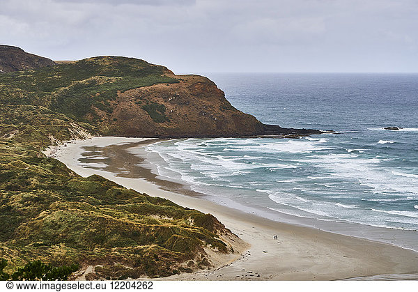 Neuseeland  Südinsel  Dunedin  Otago Halbinsel  Sandfly Bay