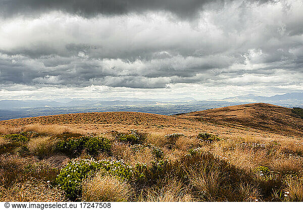 Neuseeland  Südinsel  Fiordland National Park  Regenwolken über Wildnisgebiet