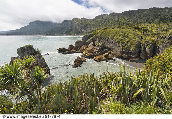 Neuseeland  Südinsel  Punakaiki  Klippen an der Küste der Pfannkuchenfelsen im Paparoa Nationalpark