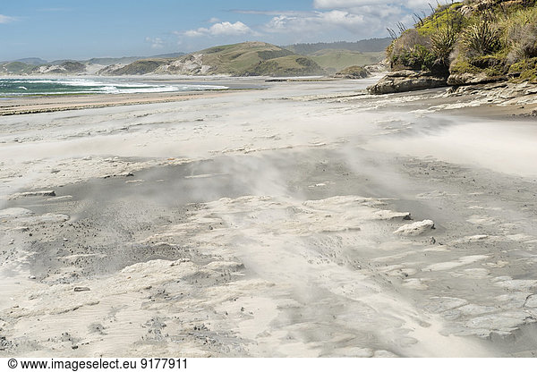 Neuseeland  Südinsel  Tasman  Kahurangi Point  windgetriebener Strand