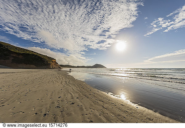 Neuseeland  Südinsel  Tasmanien  Wharariki Beach