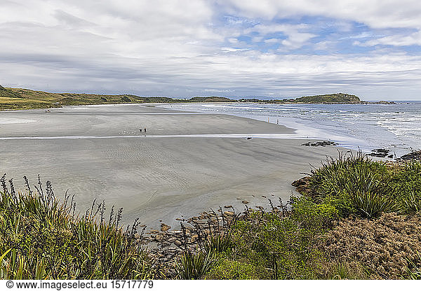 Neuseeland  Südinsel  Westküste  Cape Foulwind  Robbenkolonie in der Tauranga Bay