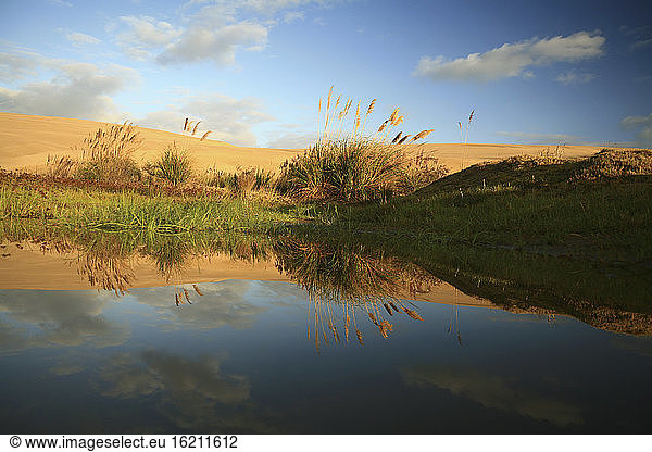 Neuseeland  Spiegelungen in einem See  Sanddünen im Hintergrund