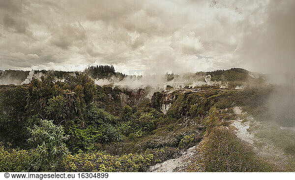 Neuseeland  Taupo Volcanic Zone  Craters of the Moon  geothermisches Feld