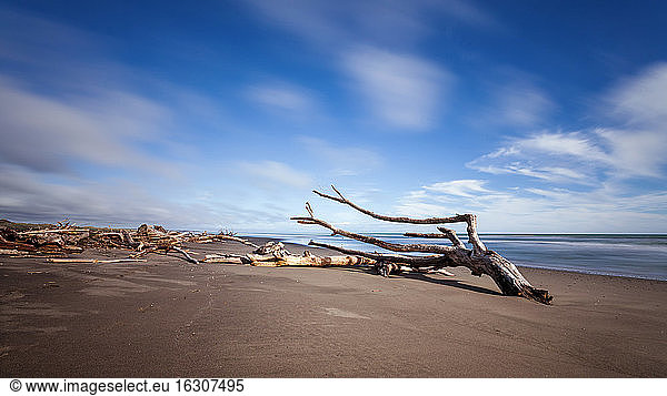 Neuseeland  Wanganui Strand