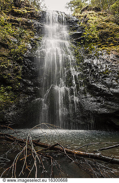 Neuseeland  Whitianga  Wasserfall